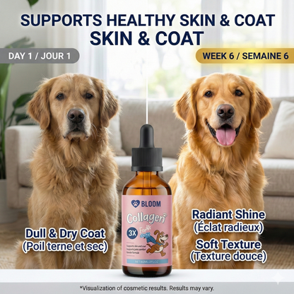 Premium Collagen for Dogs – Liquid Support for Skin, Coat, HIPS & Joints –Types I, II & III Collagen – Made in USA