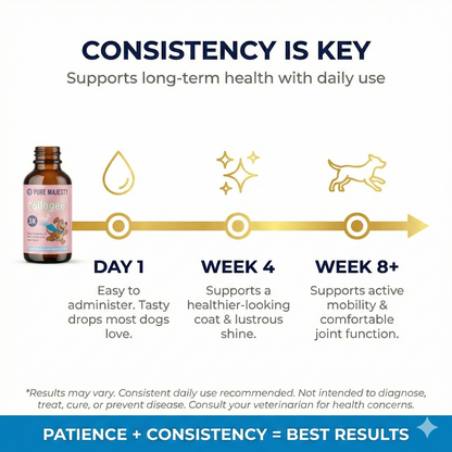 Premium Collagen for Dogs – Liquid Support for Skin, Coat, HIPS & Joints –Types I, II & III Collagen – Made in USA